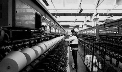 逆襲的鄭州 日用品銷售新篇章